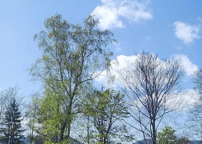 Gorskie Pejzaze * Karpacz